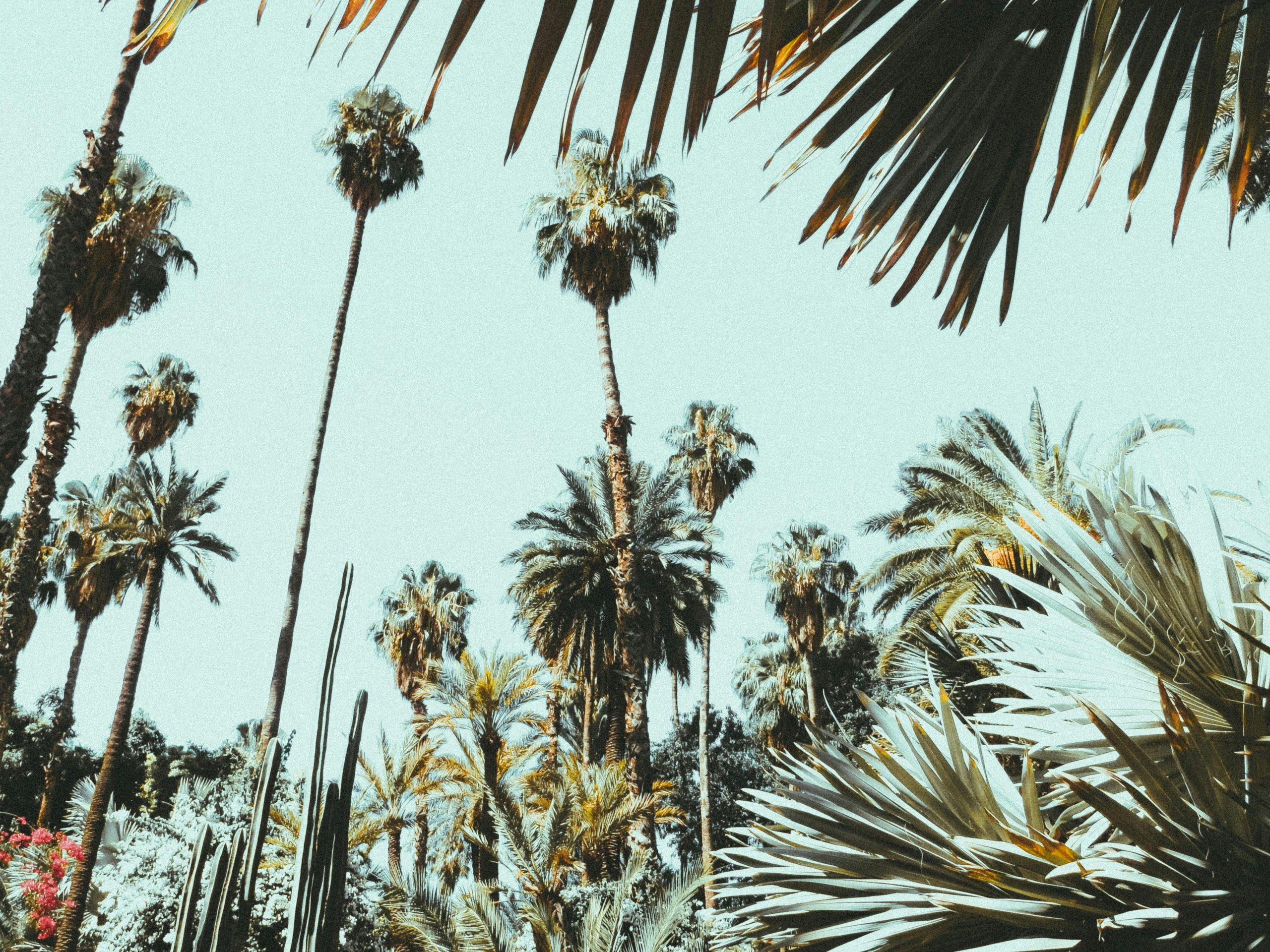 Impressum Header